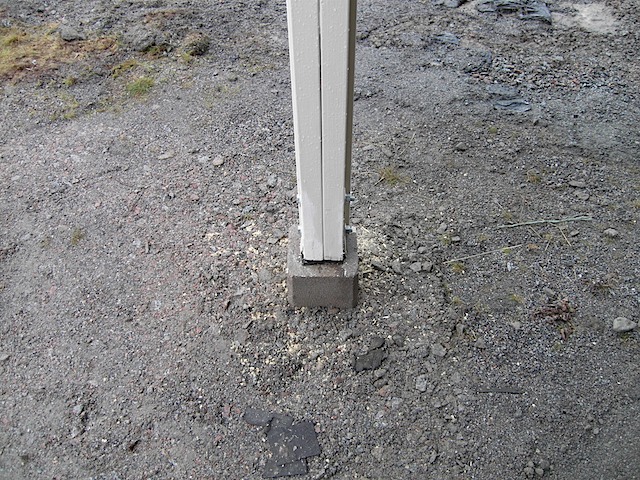 SDC10479